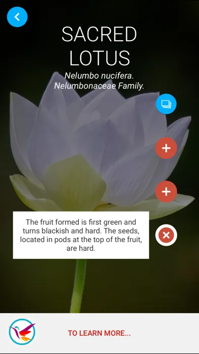 Capturas de pantalla de Jardin Botanique de Deshaies