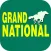 Grand National Bet Options