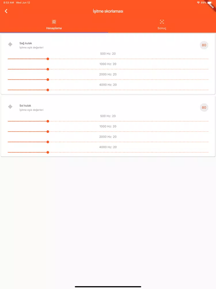 Sağlık kurulu engellilik puanı iPad 應用截圖