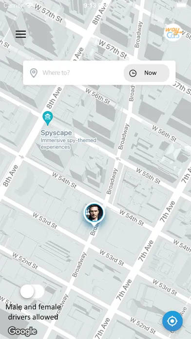 Ảnh chụp màn hình của WayCab DM