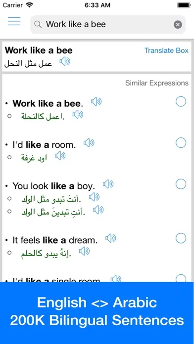 Arabic Translator Offline স্ক্রিনশট