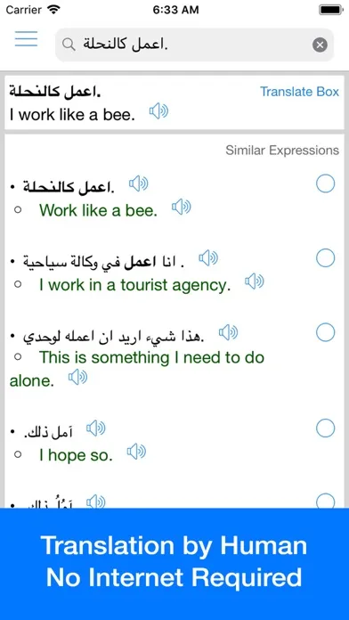 Arabic Translator Offline স্ক্রিনশট