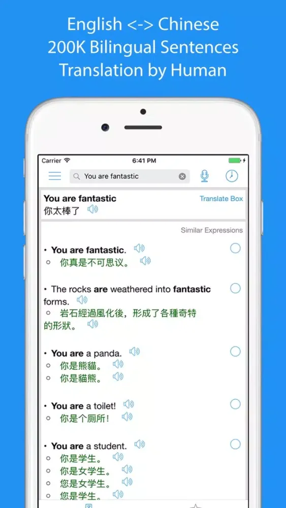 Tangkapan layar Chinese Translator Offline