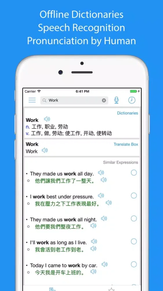 Tangkapan layar Chinese Translator Offline
