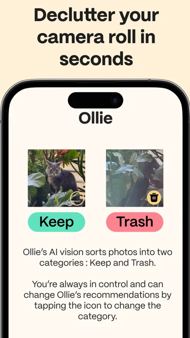 Captures d'écran de Ollie: AI Smart Photo Cleaner