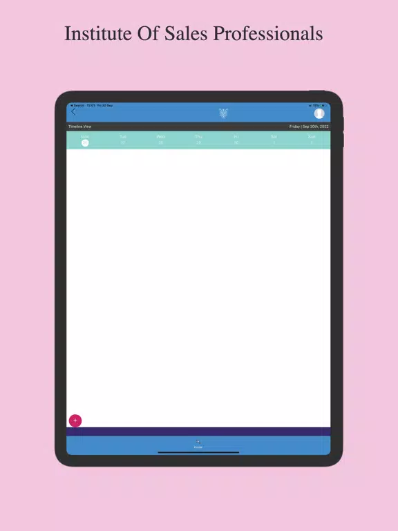 Zrzuty ekranu ISP iPad 
