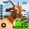 Crazy Goat Family Games Life