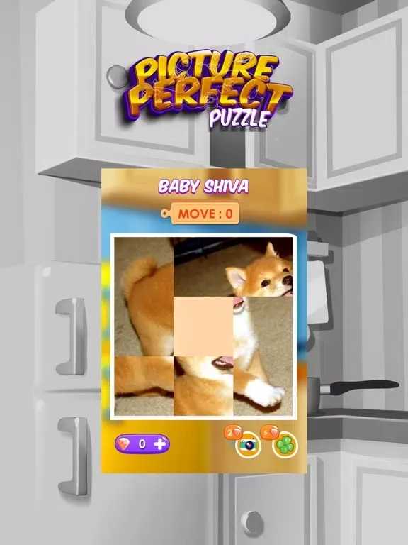 Picture Perfect Puzzles iPad 應用截圖