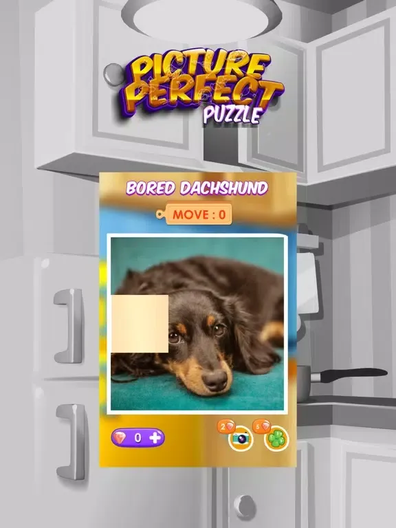 Picture Perfect Puzzles iPad 應用截圖