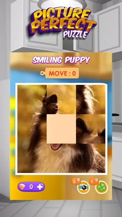 Picture Perfect Puzzles應用截圖