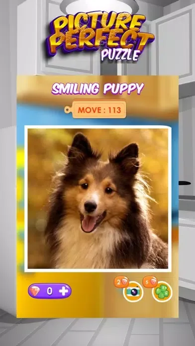 Picture Perfect Puzzles應用截圖