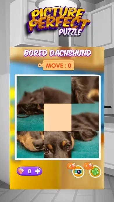 Picture Perfect Puzzles應用截圖