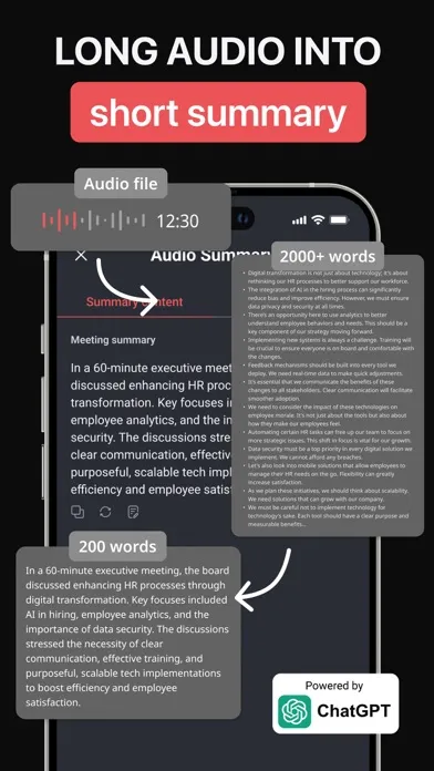 Voice Recorder & AI Summarizer应用截图