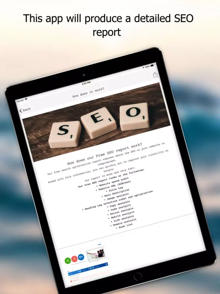 Surfing Penguin iPad  স্ক্রিনশট