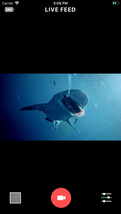 تصاویر GoFish Cam