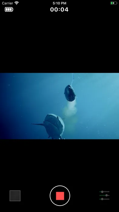 تصاویر GoFish Cam