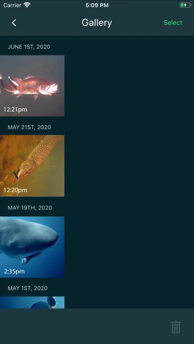 تصاویر GoFish Cam