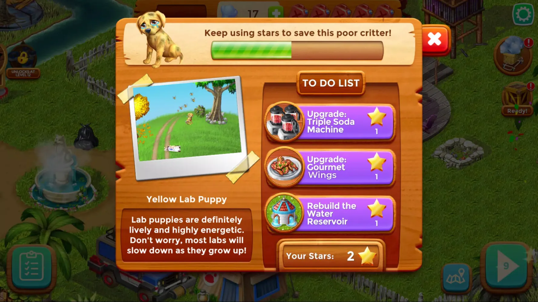 Cook Off: Animal Rescue Screenshots