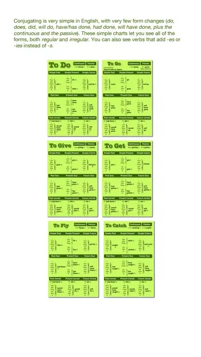 Verb Tenses スクリーンショット