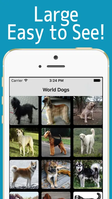 تصاویر World Dogs!