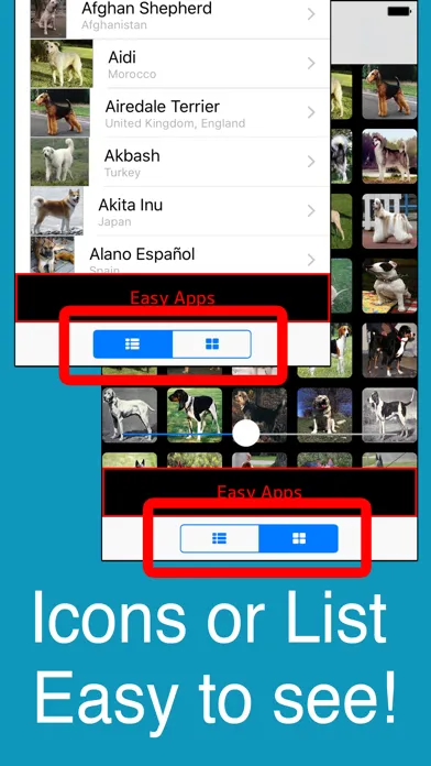 تصاویر World Dogs!