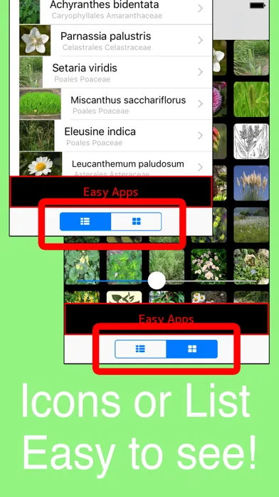 World Grasses! स्क्रीनशॉट