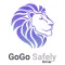 GoGo Safely Driver