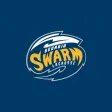 Georgia Swarm