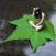 Lilliput - for superimpose two image and make a crazy image.
