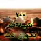 شيلات بدون نت 100 شيلة