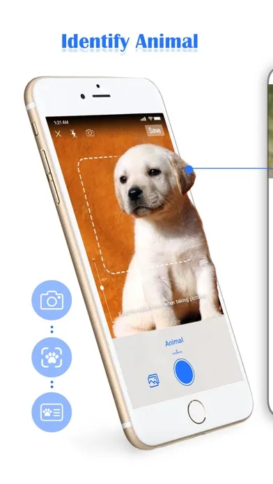 Smart Scan - Plants & Animals应用截图