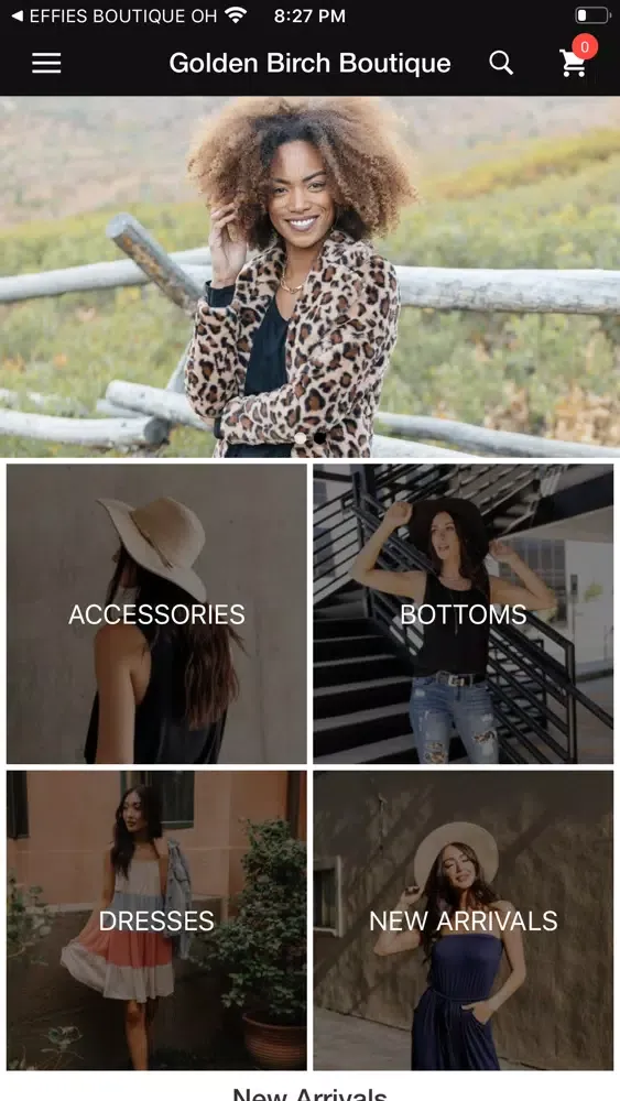 Скриншоты Golden Birch Boutique