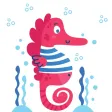 Sea Horse Lovely Sea Horse Lovely