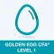 Golden Egg CFA® Exam Level 1