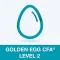 Golden Egg CFA® Exam Level 2