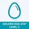 Golden Egg CFA® Exam Level 3