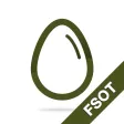 FSOT Practice Test FSOT Practice Test
