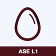 ASE L1 Practice Test Prep ASE L1 Practice Test Prep