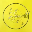 Archery Notes