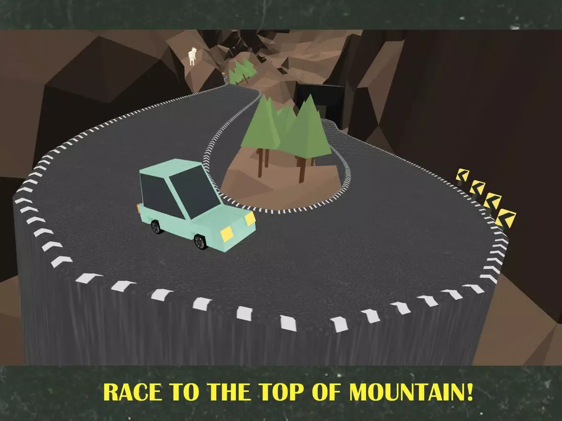 Capturas de pantalla de Mountain Hill Climb Rally iPad 
