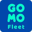 Gomo Fleet: Delivery