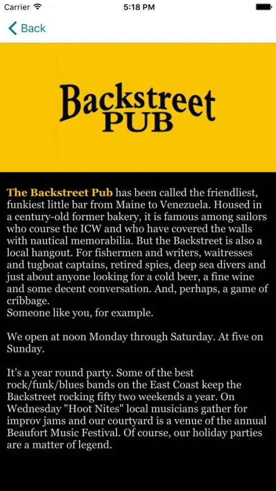 صور Backstreet Pub