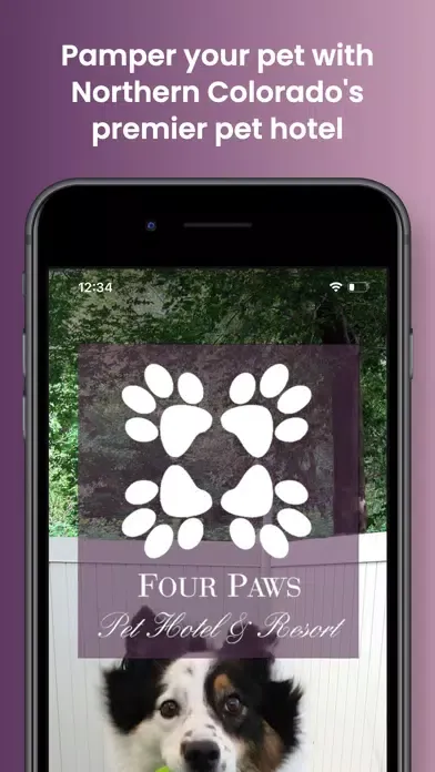 ภาพหน้าจอของ Four Paws Pet Hotel & Resort