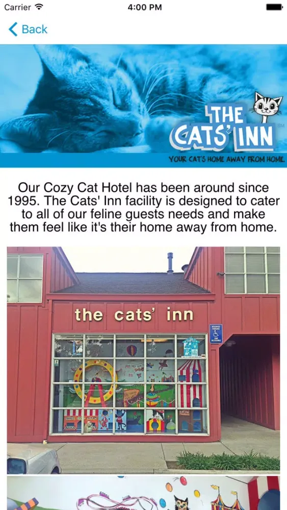 Tangkapan skrin The Cats' Inn