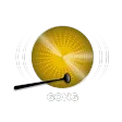 Gong