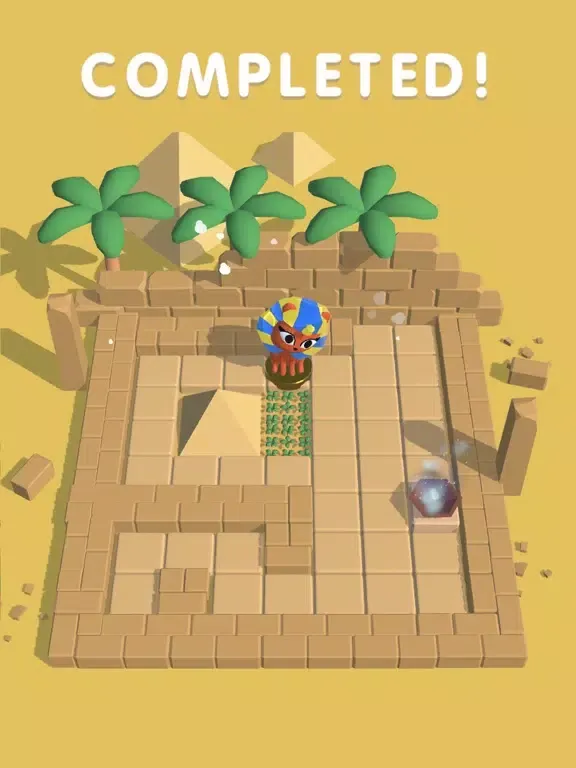 Maze Rider iPad  스크린샷