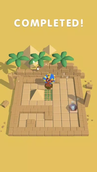 Maze Rider 스크린샷
