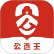 公选王