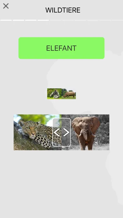 Learn German Beginner Easily স্ক্রিনশট