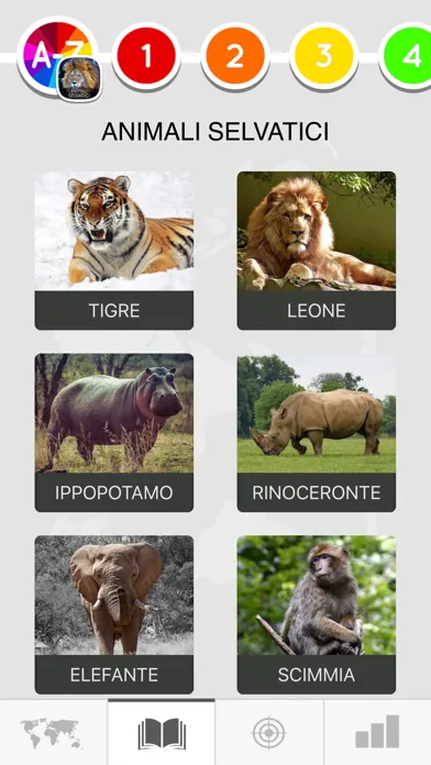 Learn Italian Beginners Easily 스크린샷